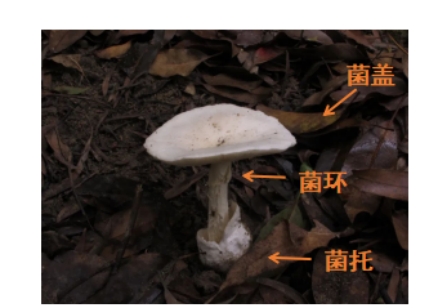 d1905753cb944deda20023d714c56626.jpg